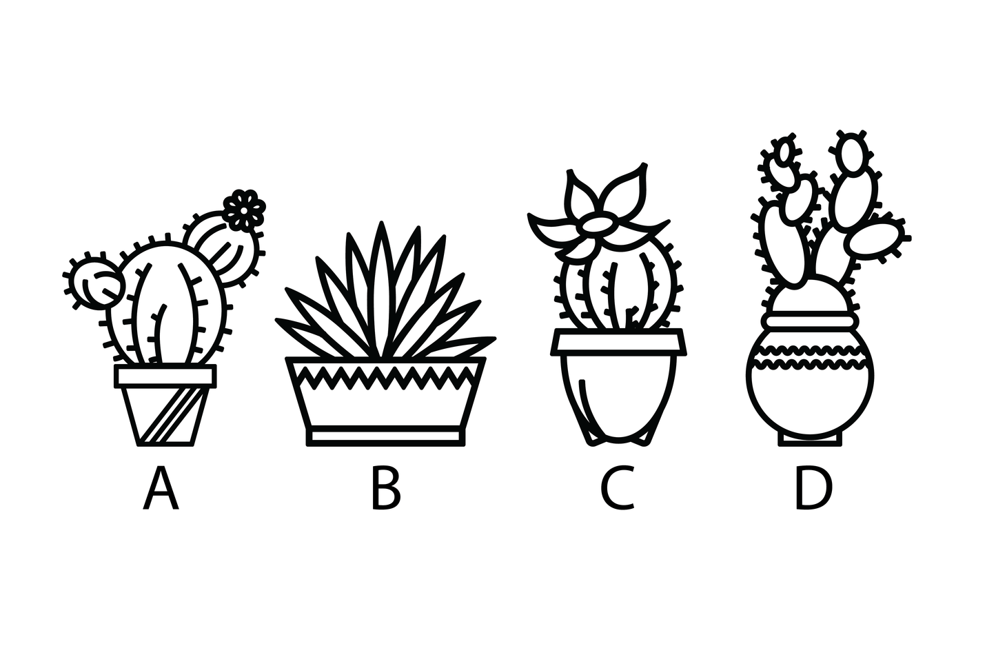 Plant Pot Keyring - Cactus & Succulents